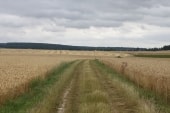 Vers Courcelles-lès-Gisors